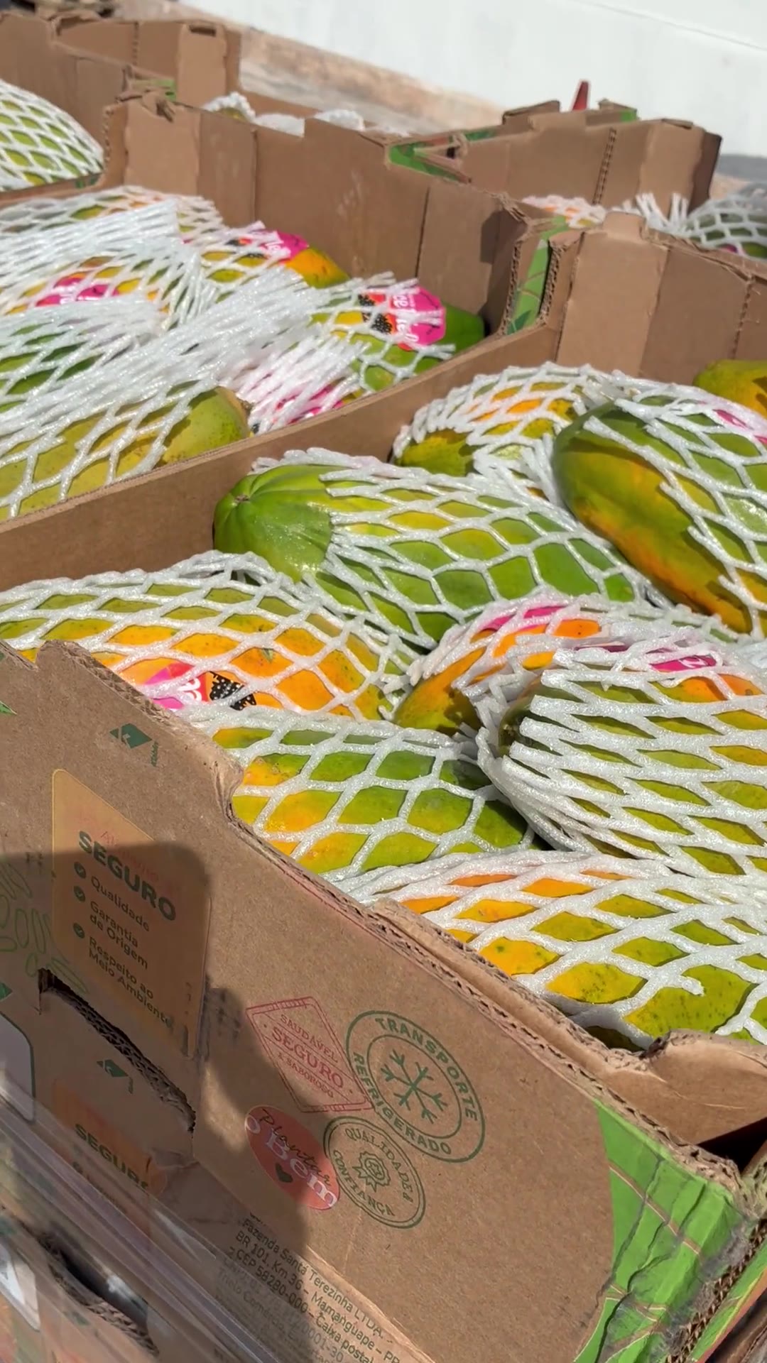 Hortifrúti em caixas de transporte refrigerado separado pela Aqua Supply para entrega a bordo